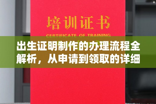 船山出生证明制作的办理流程全解析，从申请到领取的详细指南